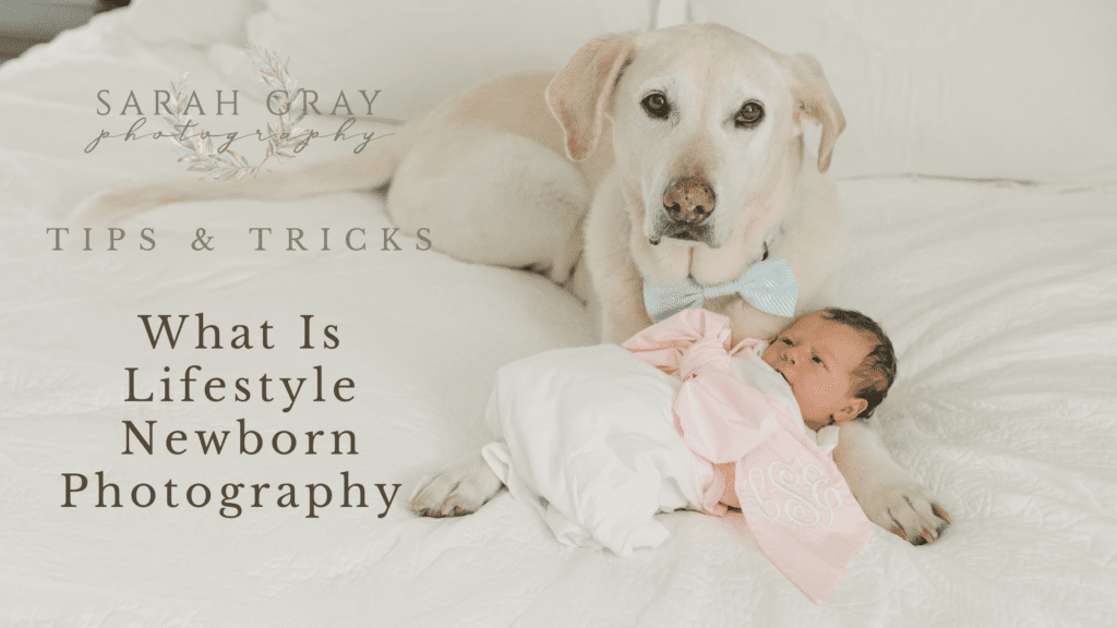 What is lifestyle newborn photography